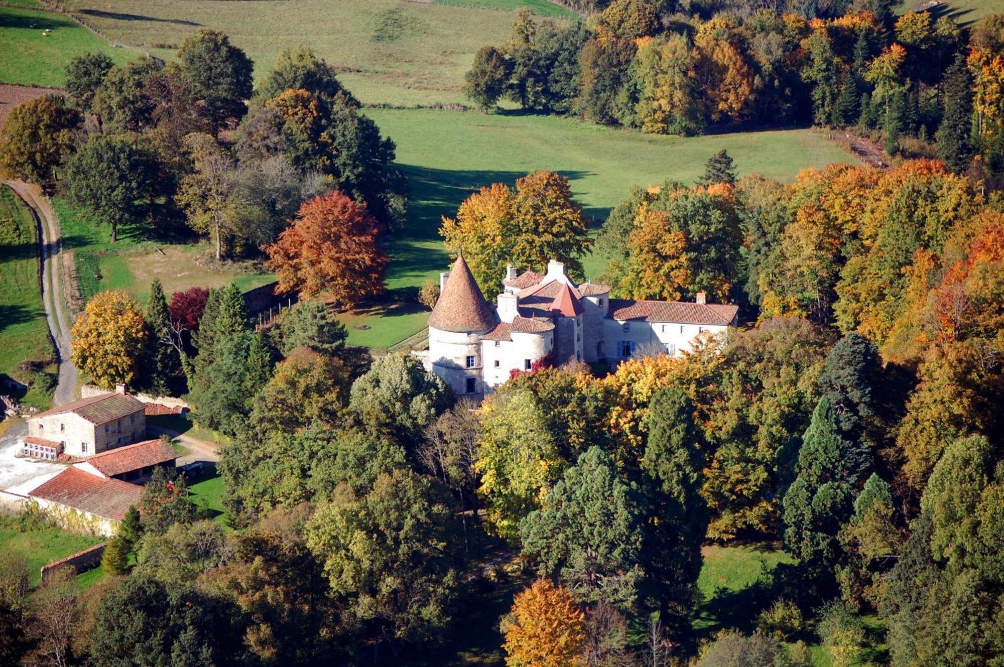 Chateau Des Martinanches Saint-Dier-d'Auvergne Exterior photo